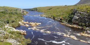 The Palmiet River runs right through the Kogelberg Nature reserve